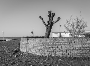 Malmö Harbour, Skåne, Sweden 2014